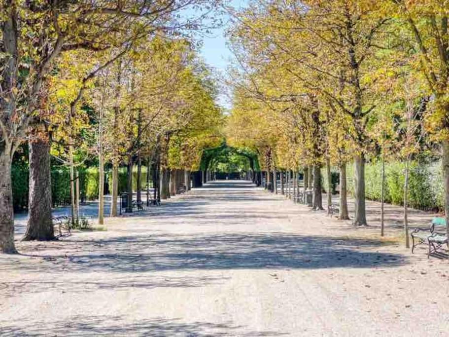 Center Apt In Best Area Near Park & Danube 20'to Airport Wien